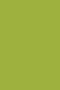 Theraline Чехол к подушке 190 см Джерси зеленый